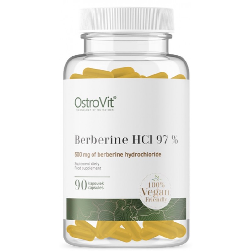 CleanShot 2023-01-04 at 16.17.58@2x-800x800